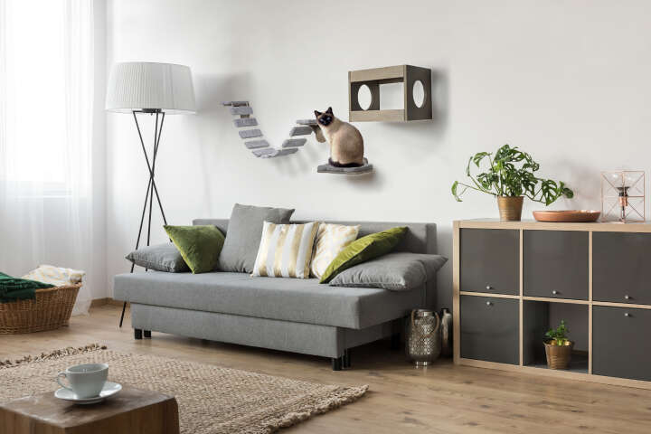 dobar Katzenmöbel-Set mit Leiter, Höhle und Liegefläche